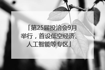 第25届投洽会9月举行，首设低空经济、人工智能等专区