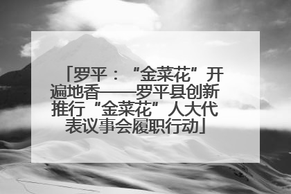 罗平：“金菜花”开遍地香——罗平县创新推行“金菜花”人大代表议事会履职行动