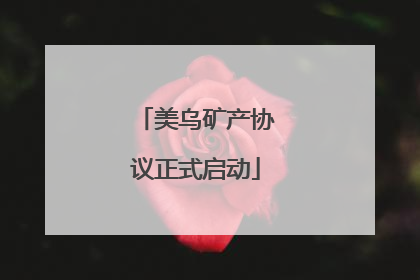 美乌矿产协议正式启动