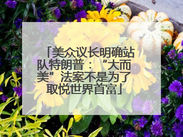 美众议长明确站队特朗普：“大而美”法案不是为了取悦世界首富