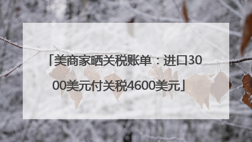 美商家晒关税账单：进口3000美元付关税4600美元