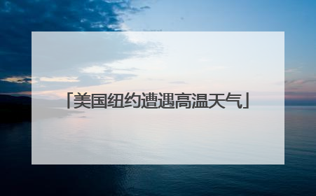 美国纽约遭遇高温天气