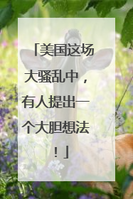美国这场大骚乱中，有人提出一个大胆想法！