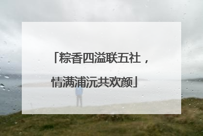 粽香四溢联五社，情满浦沅共欢颜