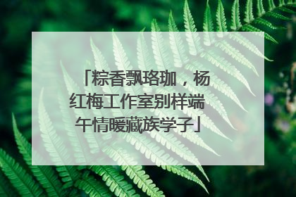 粽香飘珞珈，杨红梅工作室别样端午情暖藏族学子