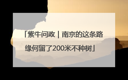 紫牛问政｜南京的这条路缘何留了200米不种树