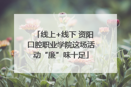 线上+线下 资阳口腔职业学院这场活动“廉”味十足