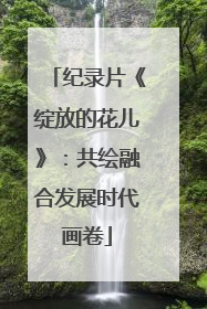 纪录片《绽放的花儿》：共绘融合发展时代画卷