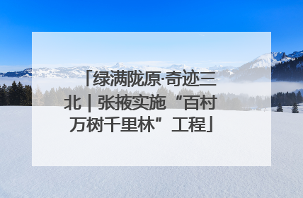 绿满陇原·奇迹三北｜张掖实施“百村万树千里林”工程