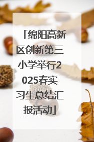 绵阳高新区创新第三小学举行2025春实习生总结汇报活动