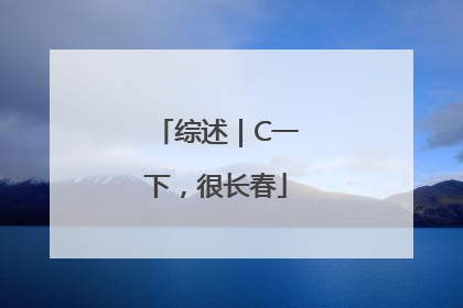 综述｜C一下，很长春