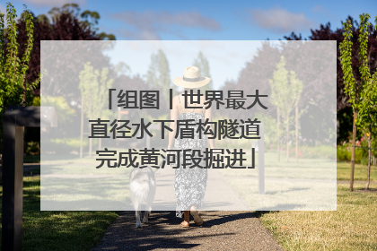 组图丨世界最大直径水下盾构隧道完成黄河段掘进