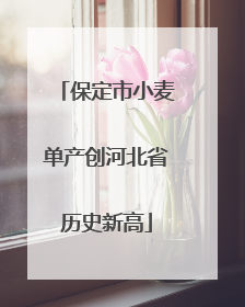 保定市小麦单产创河北省历史新高