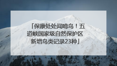 保康处处闻啼鸟！五道峡国家级自然保护区新增鸟类记录23种