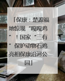 保康：楚源福地惊现“嘎嘎鸡”！国家“三有”保护动物石鸡亮相保康沿河公园