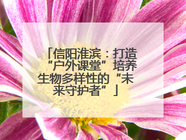 信阳淮滨：打造“户外课堂”培养生物多样性的“未来守护者”