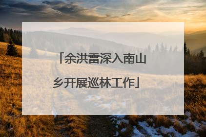 余洪雷深入南山乡开展巡林工作