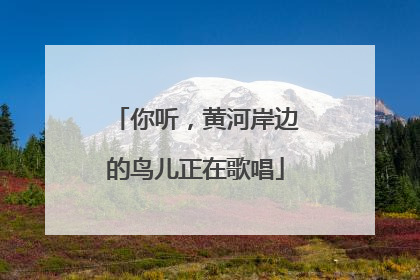 你听，黄河岸边的鸟儿正在歌唱
