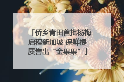 侨乡青田首批杨梅启程新加坡 保鲜提质售出“金果果”