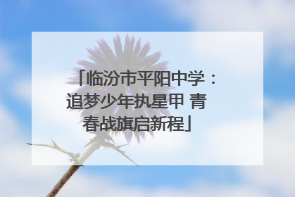 临汾市平阳中学：追梦少年执星甲 青春战旗启新程