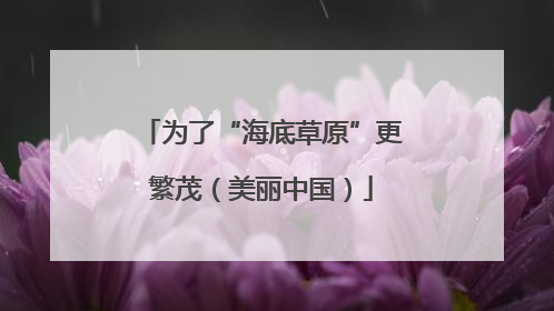 为了“海底草原”更繁茂（美丽中国）