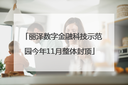 丽泽数字金融科技示范园今年11月整体封顶