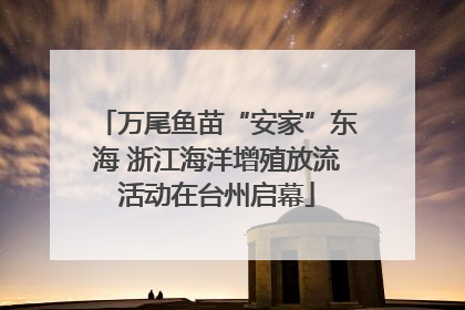 万尾鱼苗“安家”东海 浙江海洋增殖放流活动在台州启幕