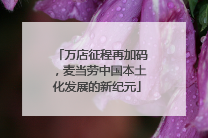 万店征程再加码，麦当劳中国本土化发展的新纪元