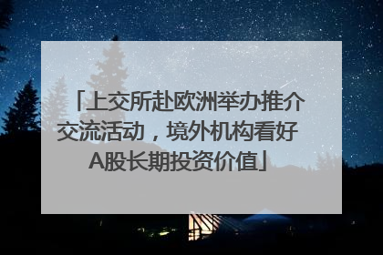上交所赴欧洲举办推介交流活动，境外机构看好A股长期投资价值