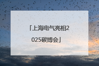 上海电气亮相2025碳博会