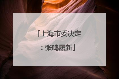 上海市委决定：张鸣履新