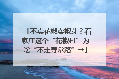 不卖花椒卖椒芽？石家庄这个“花椒村”为啥“不走寻常路”→