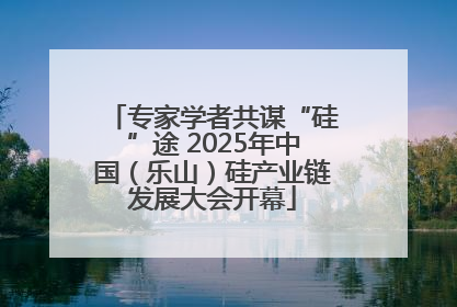专家学者共谋“硅”途 2025年中国（乐山）硅产业链发展大会开幕