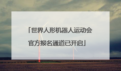 世界人形机器人运动会官方报名通道已开启