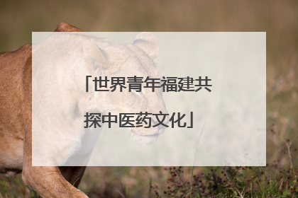 世界青年福建共探中医药文化