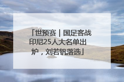 世预赛｜国足客战印尼25人大名单出炉，刘若钒落选