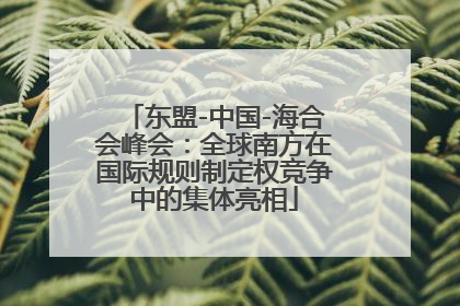 东盟-中国-海合会峰会：全球南方在国际规则制定权竞争中的集体亮相