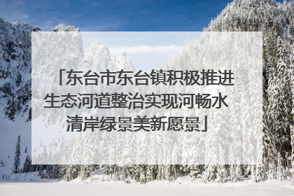 东台市东台镇积极推进生态河道整治实现河畅水清岸绿景美新愿景