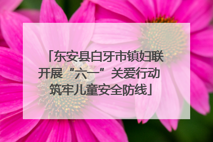 东安县白牙市镇妇联开展“六一”关爱行动 筑牢儿童安全防线