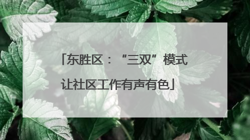 东胜区：“三双”模式让社区工作有声有色