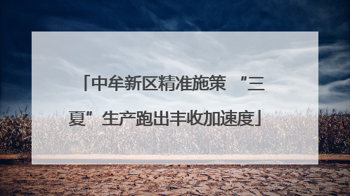中牟新区精准施策 “三夏”生产跑出丰收加速度