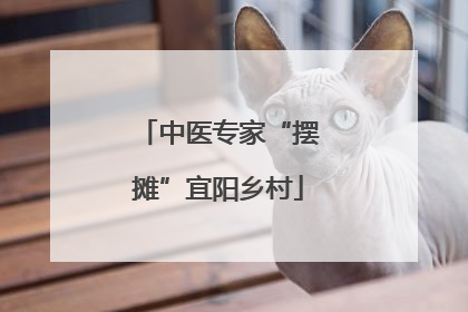 中医专家“摆摊”宜阳乡村