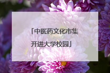 中医药文化市集开进大学校园