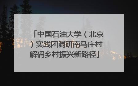 中国石油大学（北京）实践团调研南马庄村解码乡村振兴新路径
