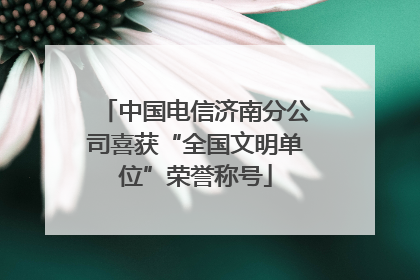 中国电信济南分公司喜获“全国文明单位”荣誉称号