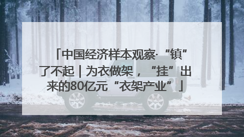 中国经济样本观察·“镇”了不起｜为衣做架，“挂”出来的80亿元“衣架产业”