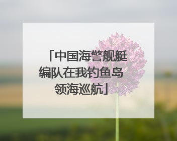 中国海警舰艇编队在我钓鱼岛领海巡航