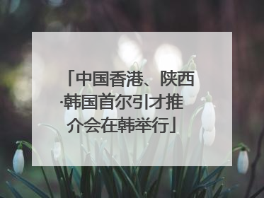 中国香港、陕西·韩国首尔引才推介会在韩举行