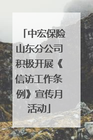 中宏保险山东分公司积极开展《信访工作条例》宣传月活动