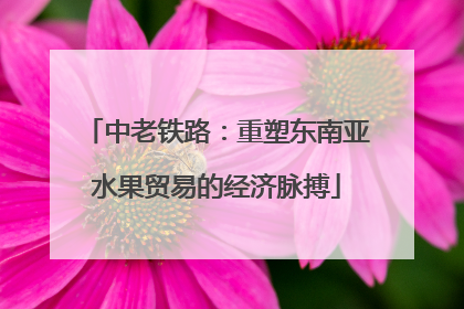 中老铁路：重塑东南亚水果贸易的经济脉搏